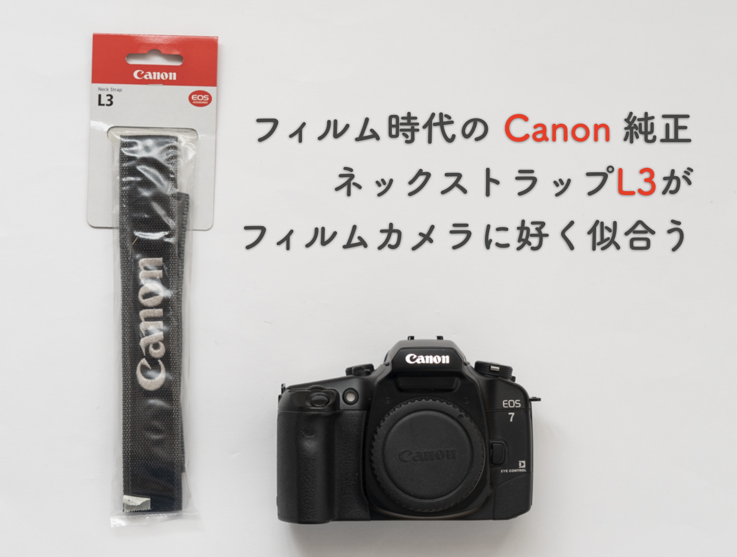 Canon キャノン EOS カメラストライプ - その他