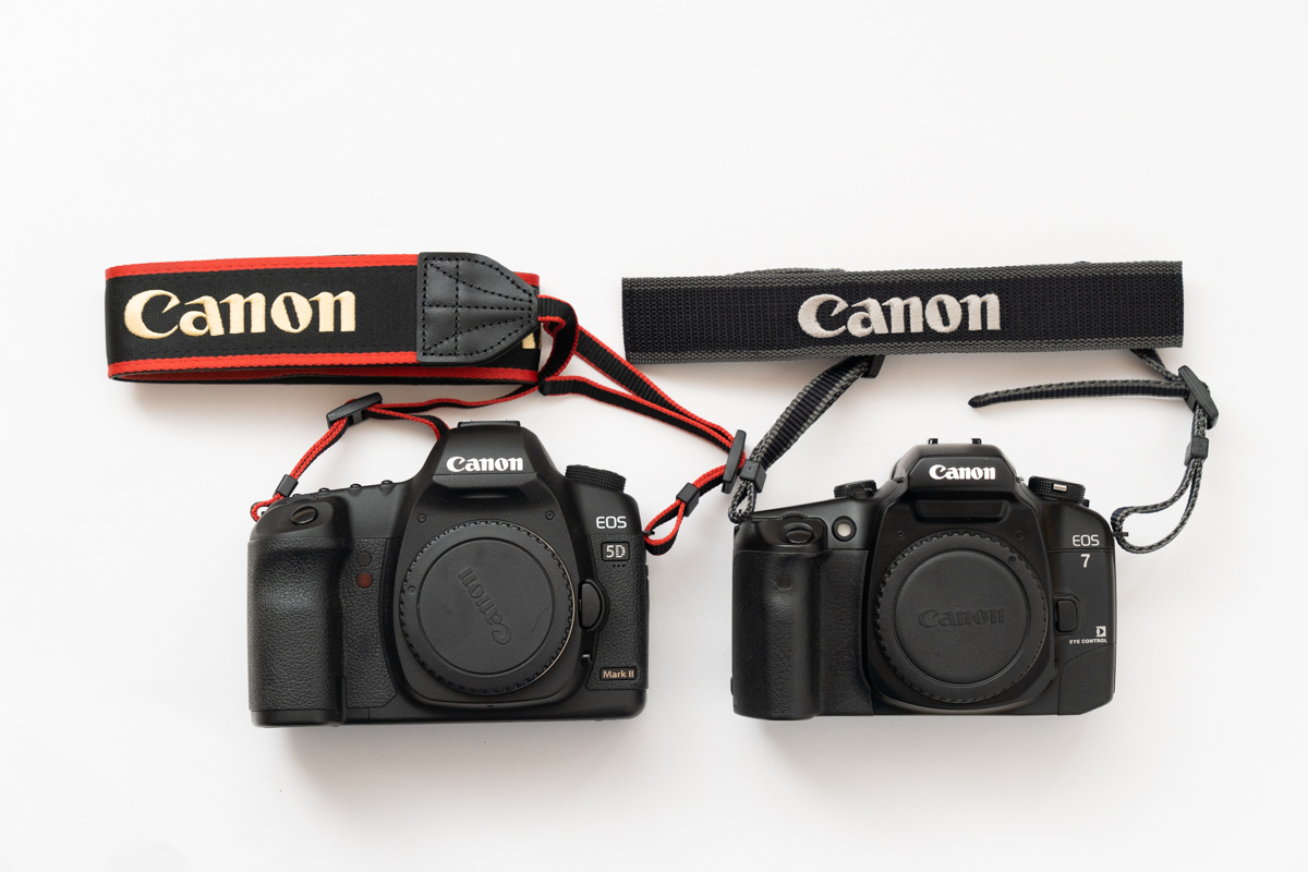 正規品　canon  eos カメラストラップ